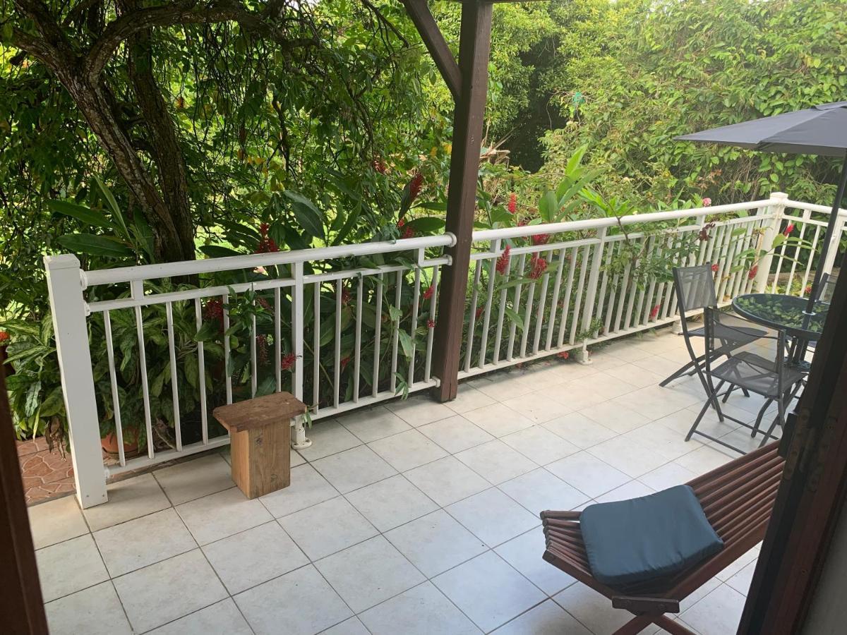 Logement Vacances Gissac Sainte-Anne מראה חיצוני תמונה